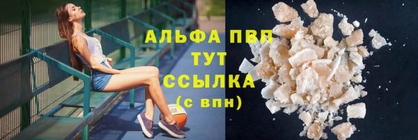 трава Коряжма