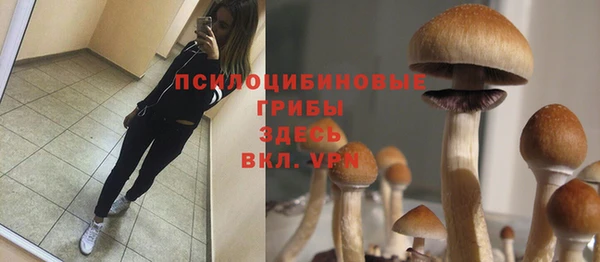 дмт Корсаков