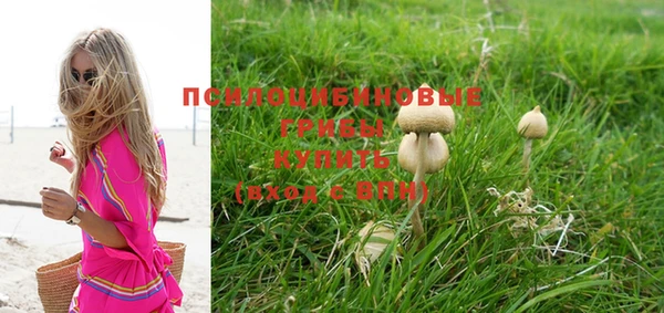 гашик Краснослободск