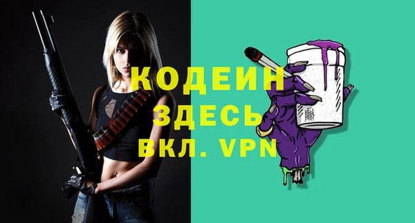 трава Коряжма