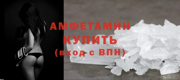 трава Коряжма