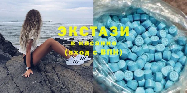 гашик Краснослободск