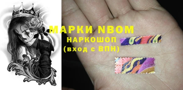 гашик Краснослободск