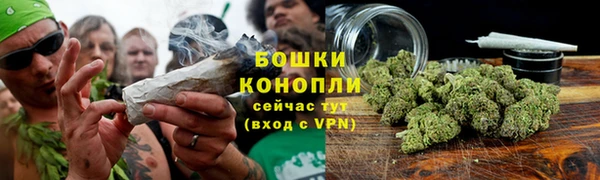 дмт Корсаков