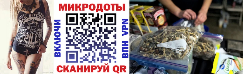 Псилоцибиновые грибы Magic Shrooms  блэк спрут вход  Михайловка 