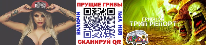 Псилоцибиновые грибы Magic Shrooms Михайловка